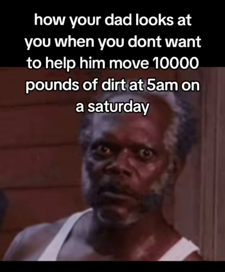 How your dad looks at you when you dont want to help him move 10000 pounds of dirt at 5am on a saturday. #dadlife #weekend.