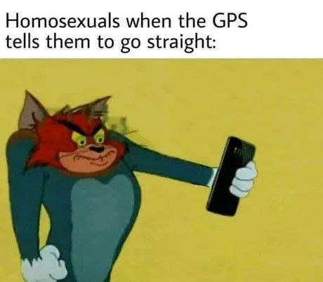 Homosexuals when the GPS tells them to go straight." When the navigation just doesn’t get your vibe 😂 #meme #LGBTQ #GPS.