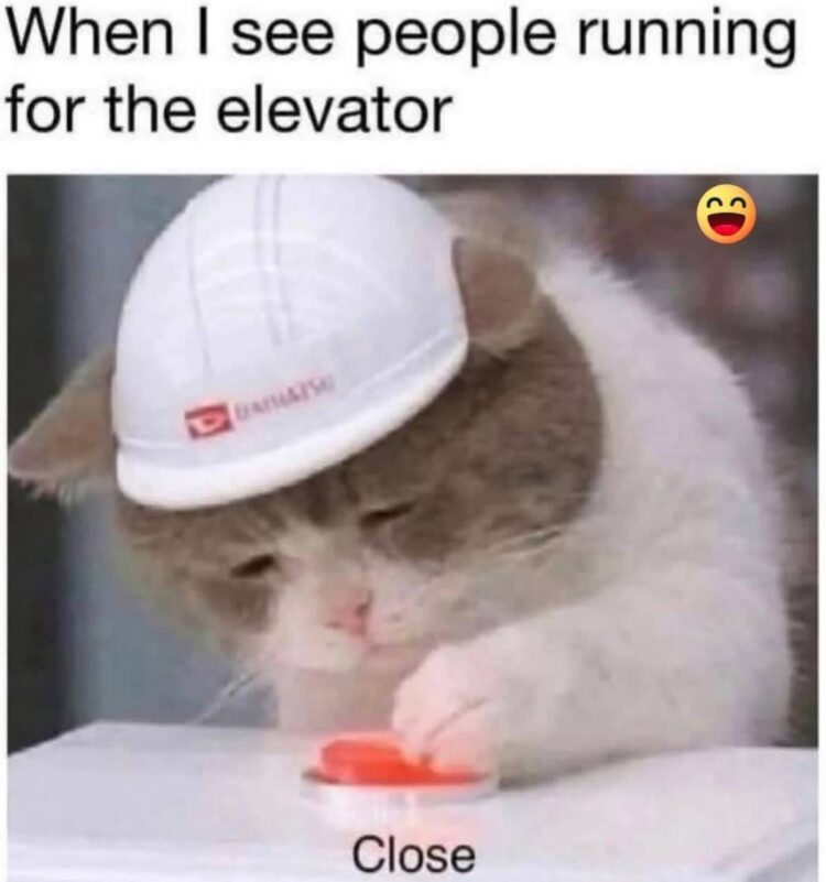 When I see people running for the elevator... *presses Close* 😂🐱 #relatable #meme #cat.