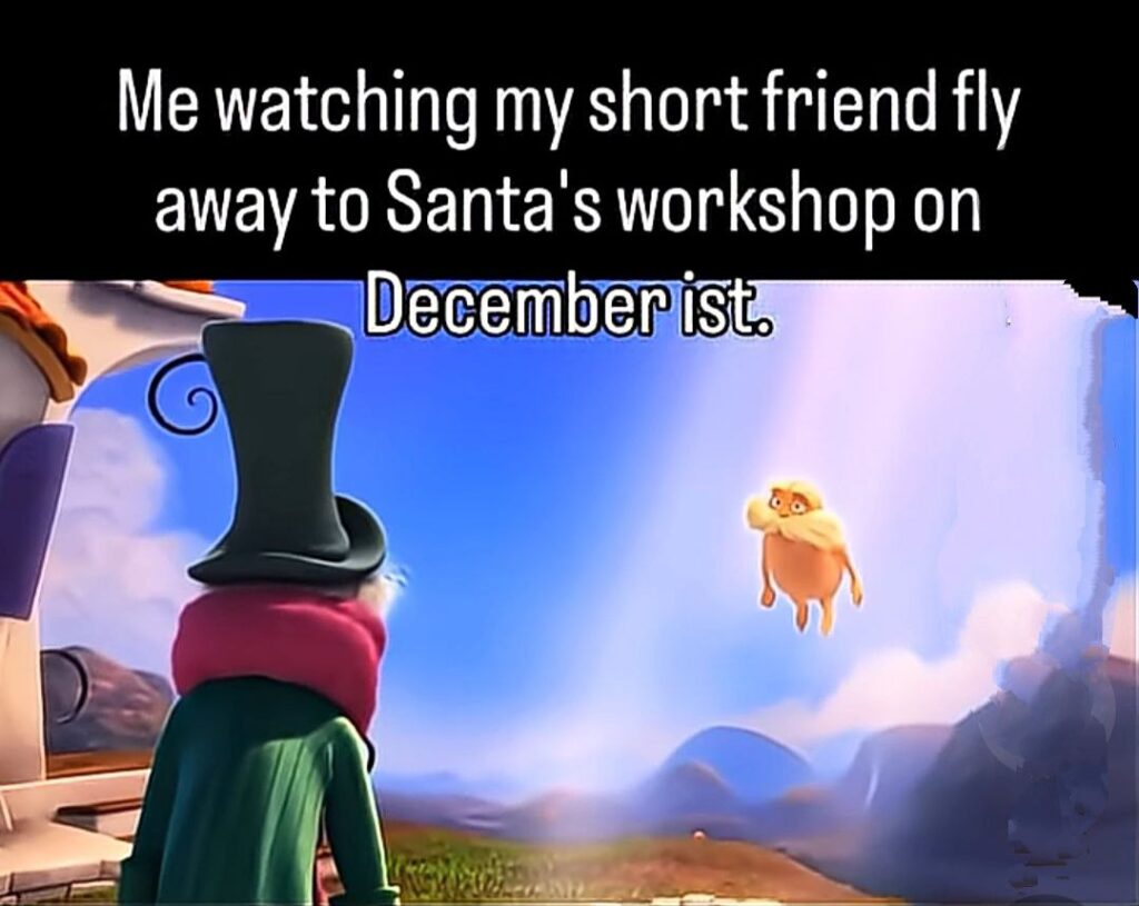 Me watching my short friend fly away to Santa's workshop on December 1st. Elf season activated 😂✨ #December #ElfLife.