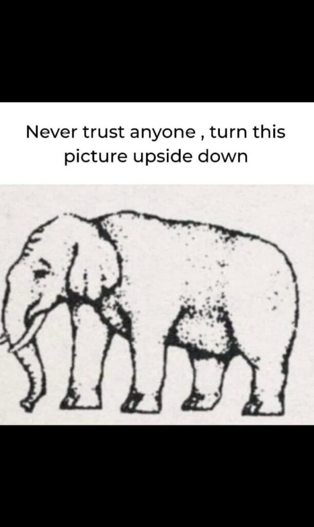 Never trust anyone, turn this picture upside down. #trustissues #wtf #illusion.