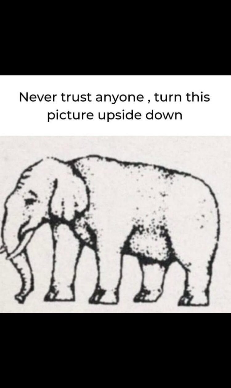 Never trust anyone, turn this picture upside down. #trustissues #wtf #illusion.