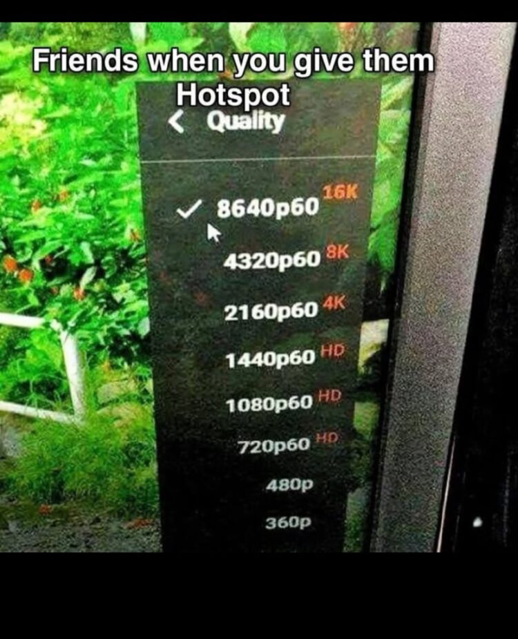 Friends when you give them Hotspot." Suddenly they want to stream in 8640p60 and 4320p60 😂 #wifi #firstworldproblems.