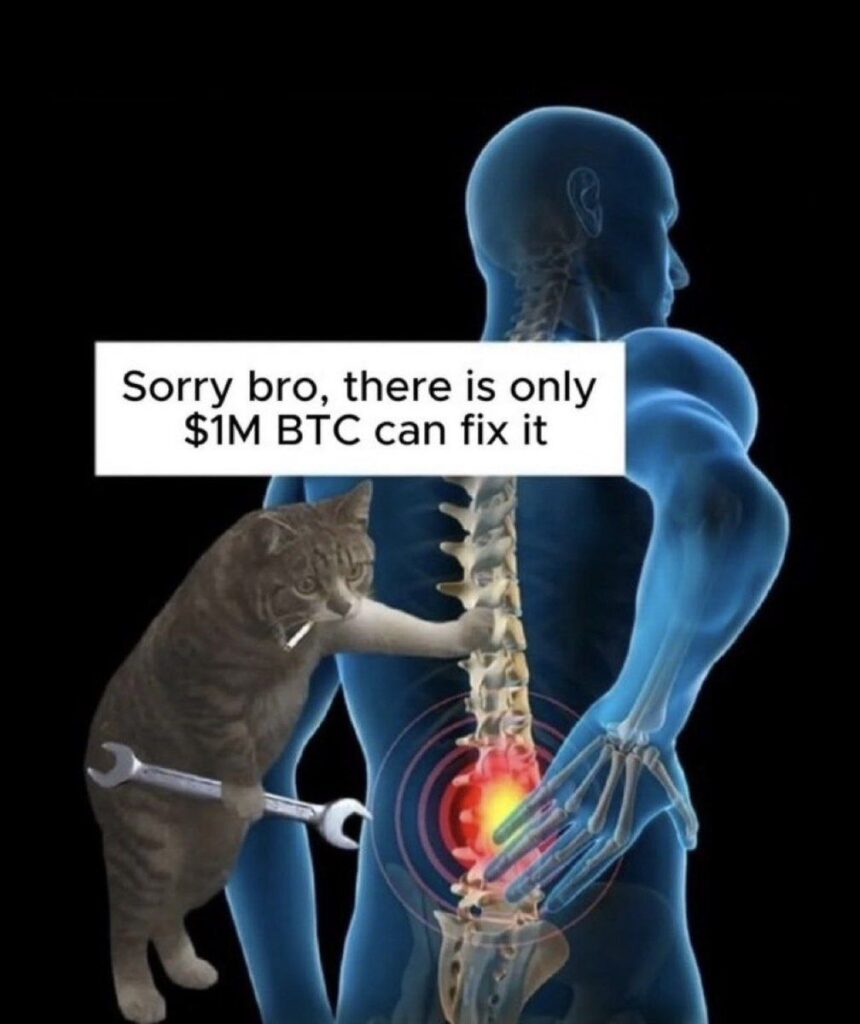 Sorry bro, there is only $1M BTC can fix it. When your back pain hits harder than the market 🚨💸 #crypto #meme #btc.
