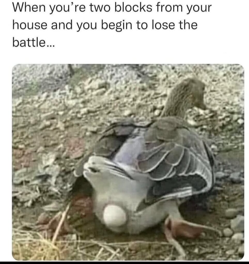 When you’re two blocks from your house and you begin to lose the battle... We’ve all been there 😂 #struggle #oops #fail.