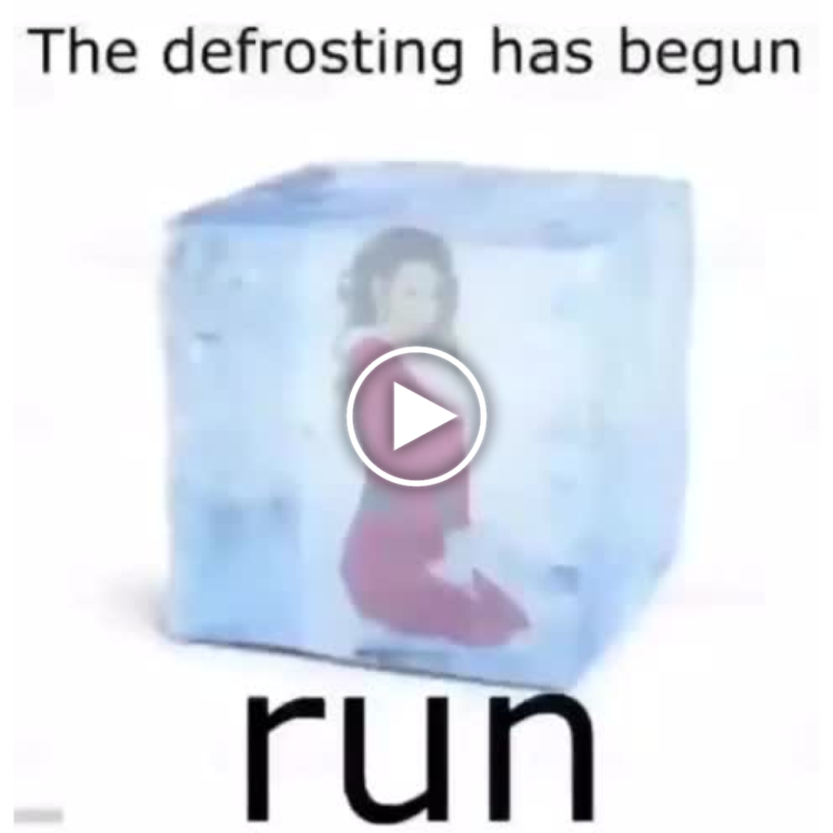 When the work week finally ends and THE DEFROSTING HAS BEGUN. RUN 😂❄️ #MondayMood #FreezeFrame.