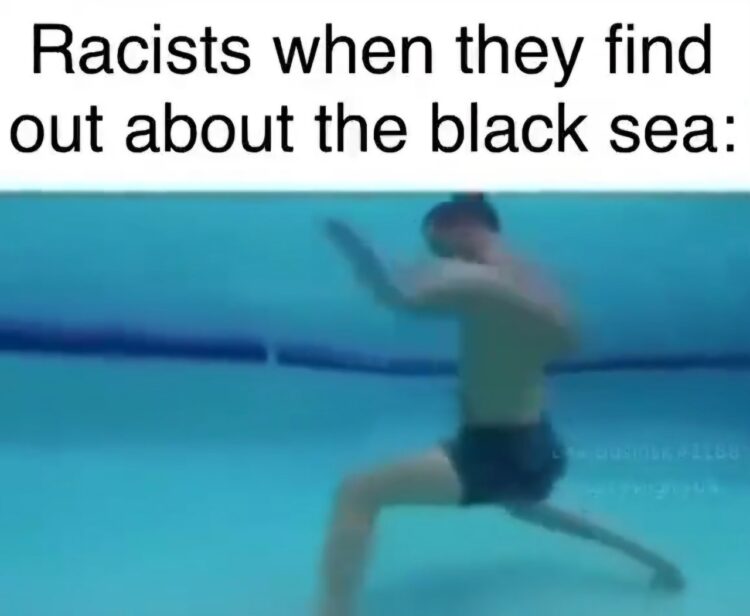 Racists when they find out about the black sea: 😂 You just KNOW they're not ready for geography class. #Meme #LOL.