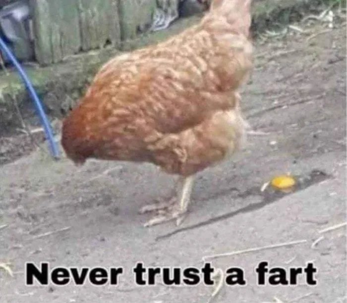 Never trust a fart. We all have our egg-ceptional moments. #oops #funny #lol.
