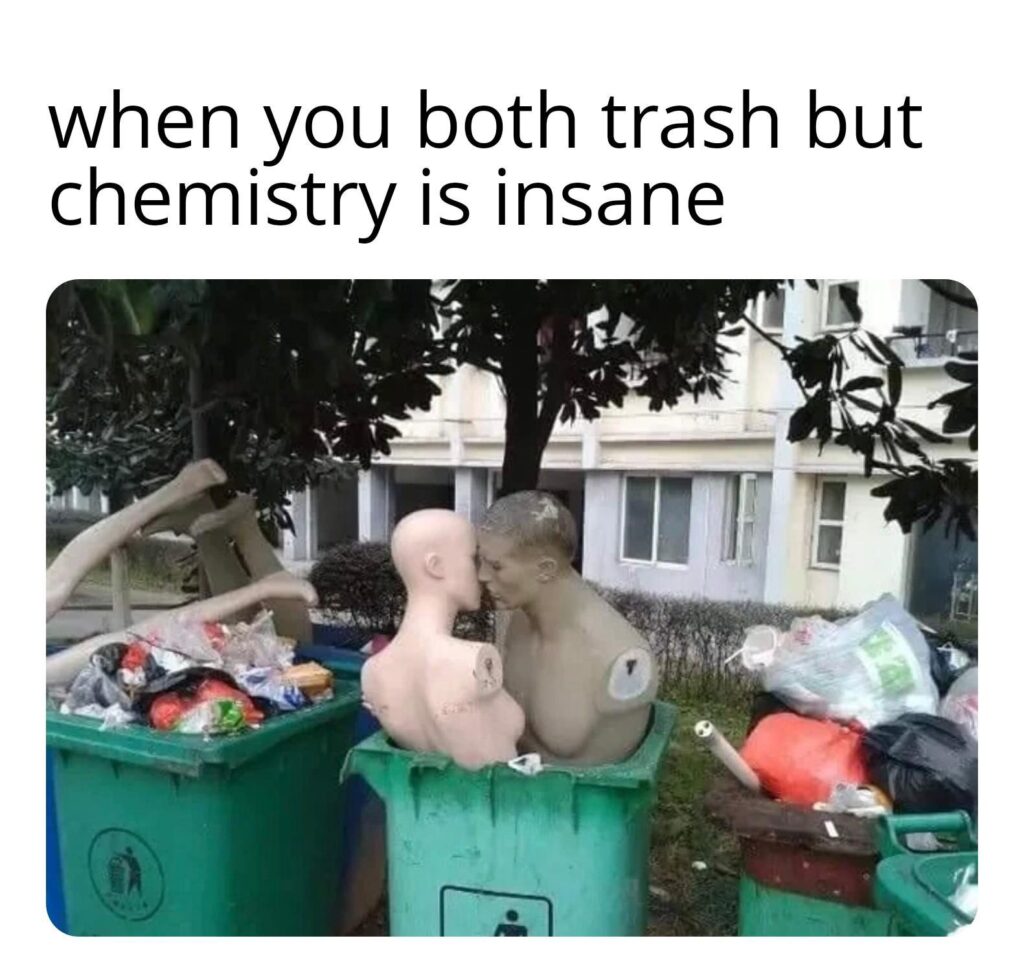 When you both trash but chemistry is insane 🤣💯. You know it's real when y'all belong together in the dumpster. #chemistry #love.
