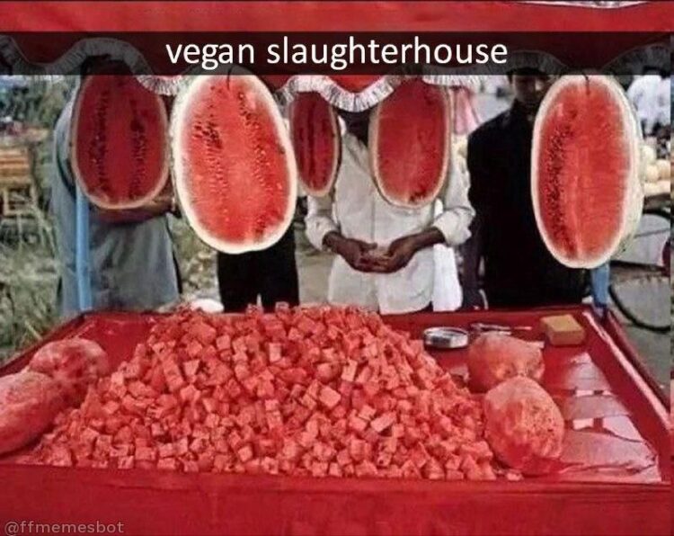 You walk into the vegan slaughterhouse and leave with a kilo of pure guilt-free watermelon #vegan #LOL #summer.