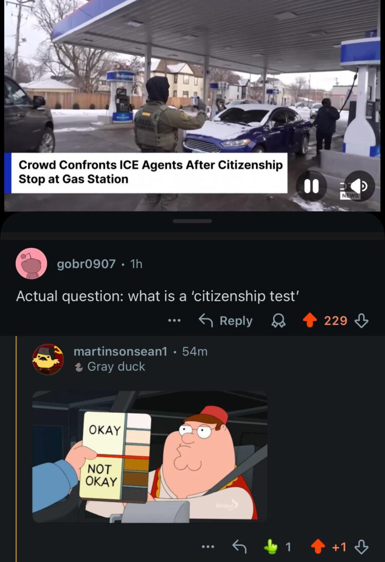 When ICE pulls up and someone asks “what’s a citizenship test?” Peter Griffin: OKAY vs NOT OKAY. Just another Tuesday 😂 #memes #wtf.