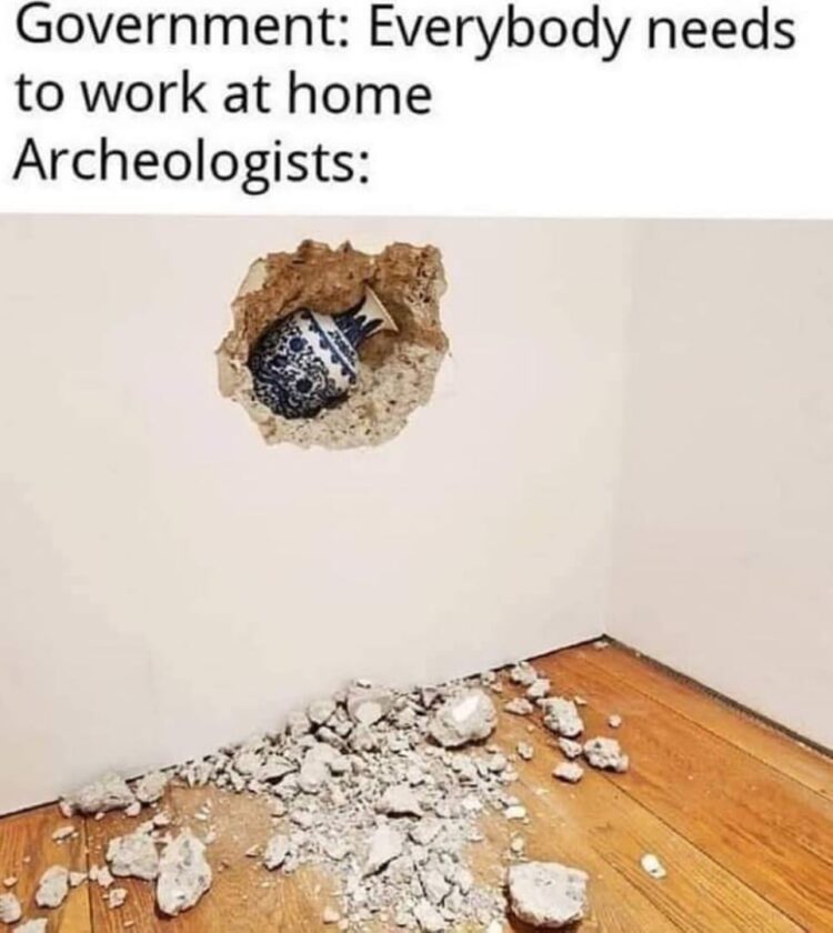 Government: Everybody needs to work at home. Archeologists: Say less 🕳️🏺 #WFH #archeology #quarantine.