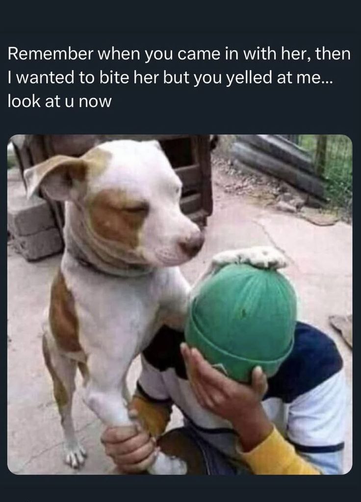 When you want to fight them but end up comforting your bestie instead: “Wanted to bite them, stayed for the meltdown.” #mood.