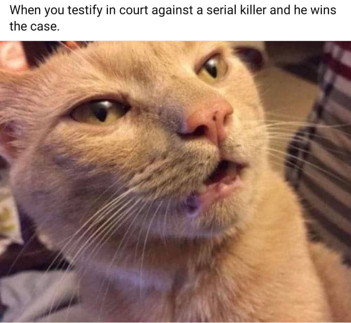 When you testify in court against a serial killer and he wins the case. Bro, reconsider witness protection 💀 #fail #ohno.