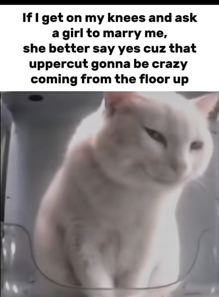 If I get on my knees and ask a girl to marry me, she better say yes cuz that uppercut gonna be crazy from the floor up. #savage.