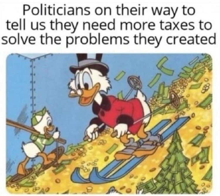 Scrooge McDuck skiing on gold as another duck watches. Politicians on their way to tell us they need more taxes to solve the problems they created. #relatable.