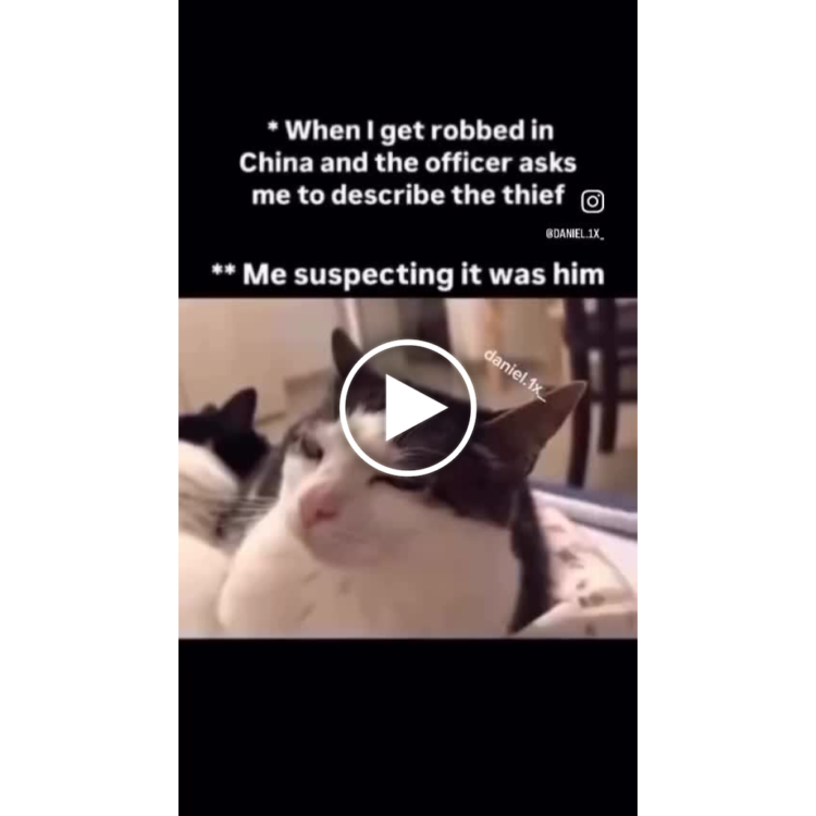 You ever get robbed in China and the officer asks for a description but you low-key think it was him? That cat’s face tho suspicious #meme.