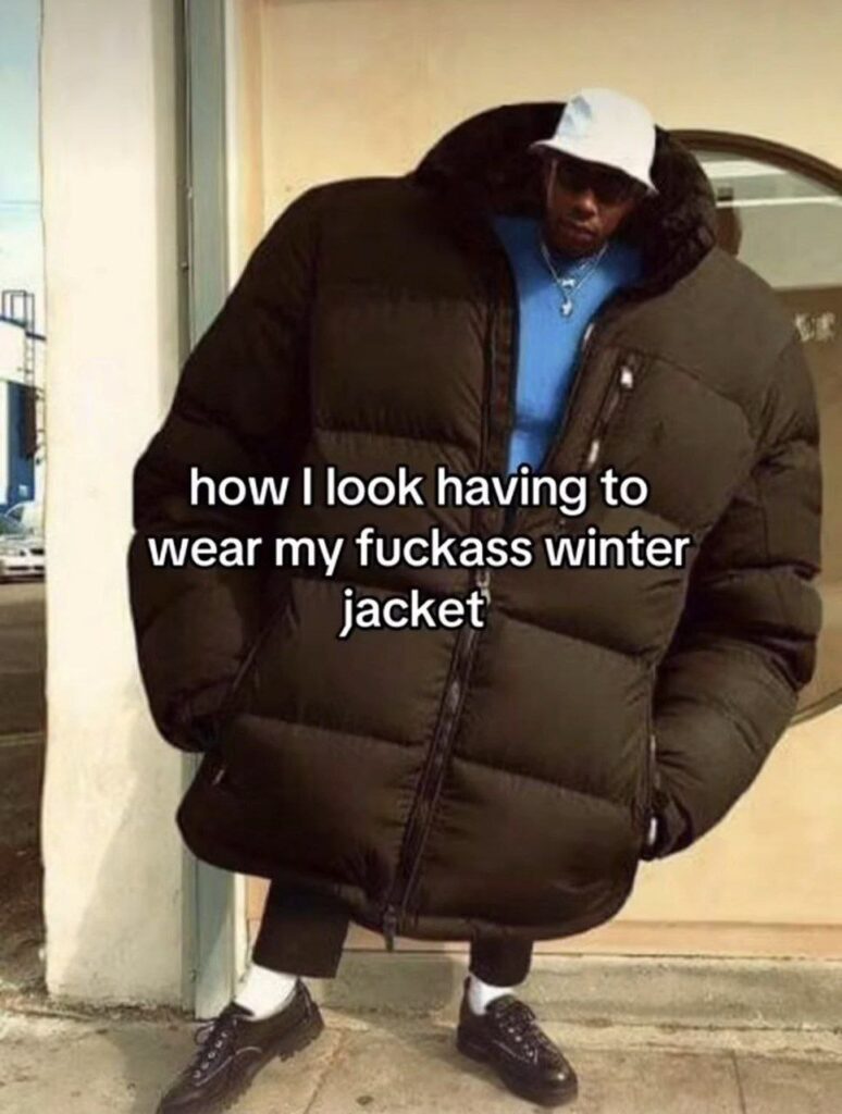 How I look having to wear my fuckass winter jacket. You know it’s that season when your drip gets replaced by survival mode. #winter.