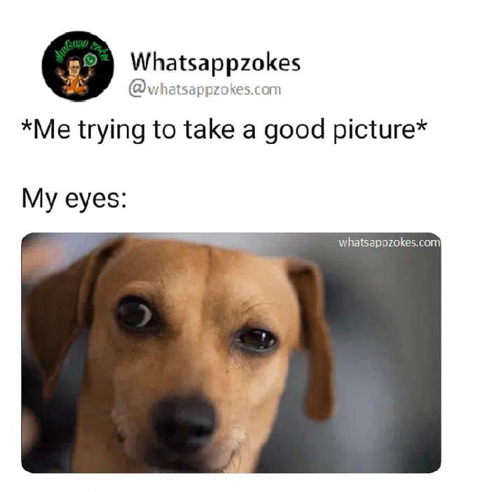 Me trying to take a good picture. My eyes: When your camera opens and suddenly you forget how to be normal 😂 #SelfieFail #Dogs.