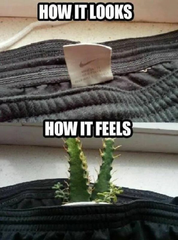 How it looks: clothing tag. How it feels: cactus in your waistband. Who else knows this pain? 😂🌵 #clothes #ouch.