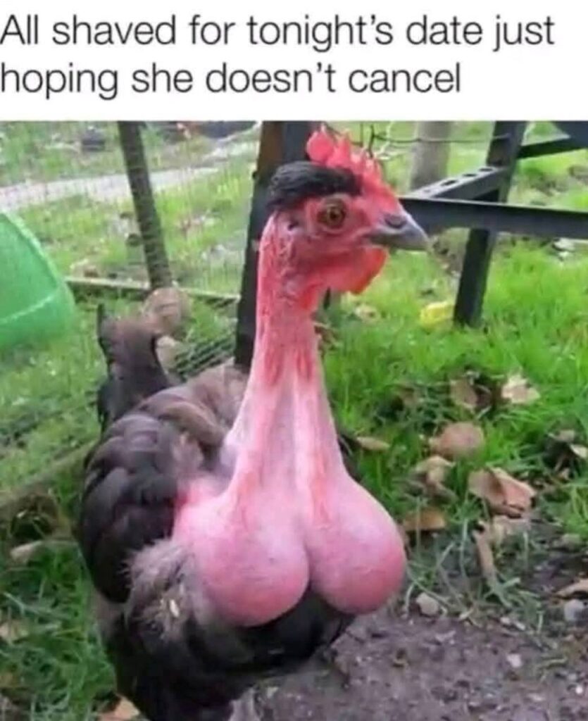 All shaved for tonight’s date just hoping she doesn’t cancel. We’ve all been there, right? #mood #dating #expectations.