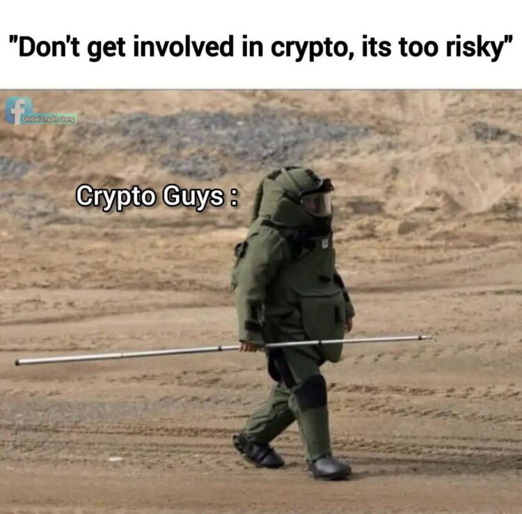 Don't get involved in crypto, it's too risky" Crypto Guys: Me every time I'm checking my portfolio. #crypto #yolo #danger.