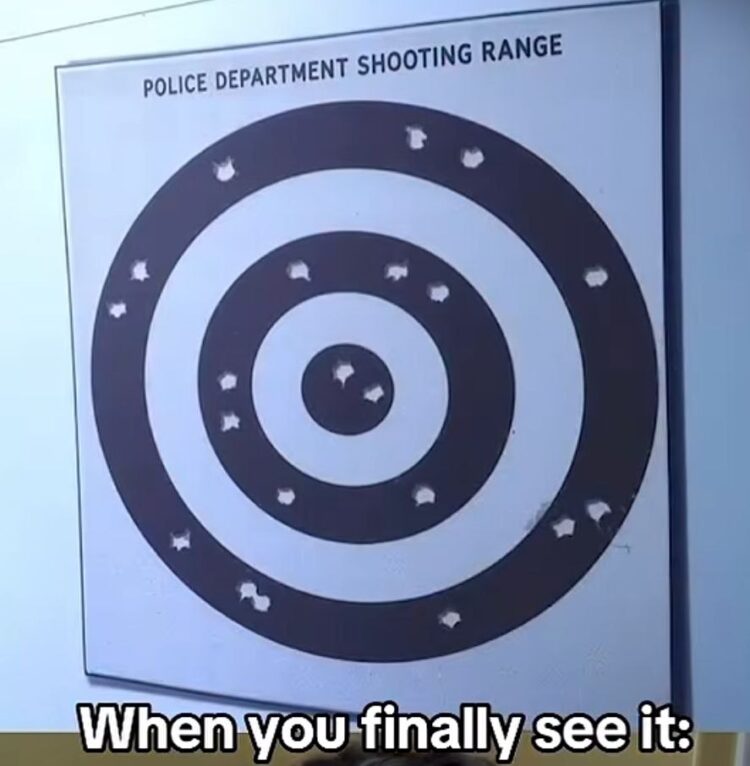 When you finally see it: A police target full of missed shots. Been there? 😂 #relatable #fail.