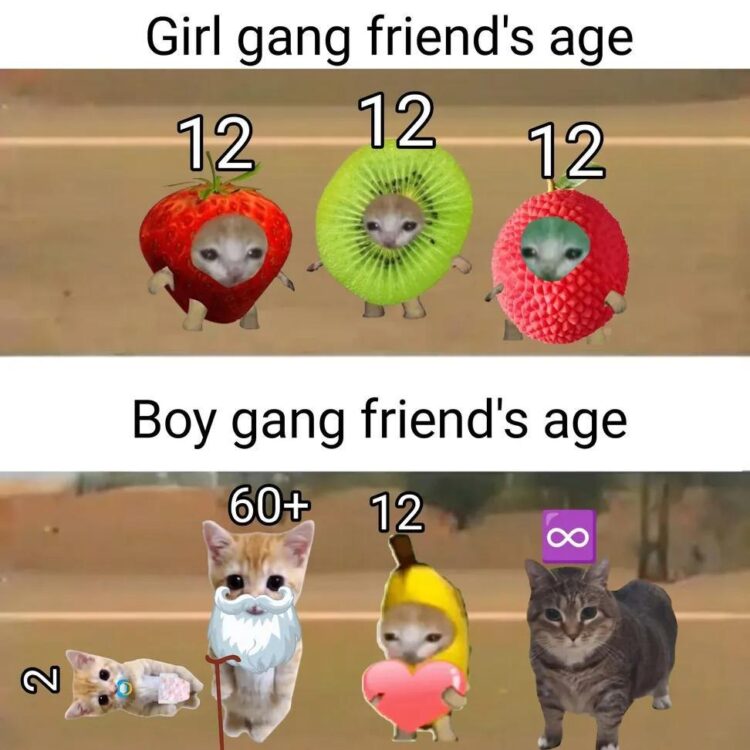 Why is girl squad always the same age but boys are everywhere from 2 to infinity? 😂 Girl gang friend's age: 12. Boy gang: 2, 60+, 12, ∞ #memes.