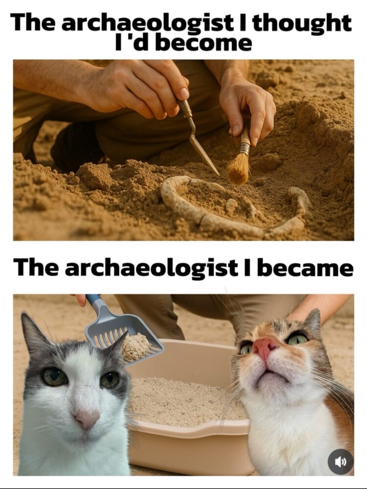 You vs reality: Top shows hands digging up fossils like a pro archaeologist. Bottom is just scooping cat litter with two cats watching. #relatable.