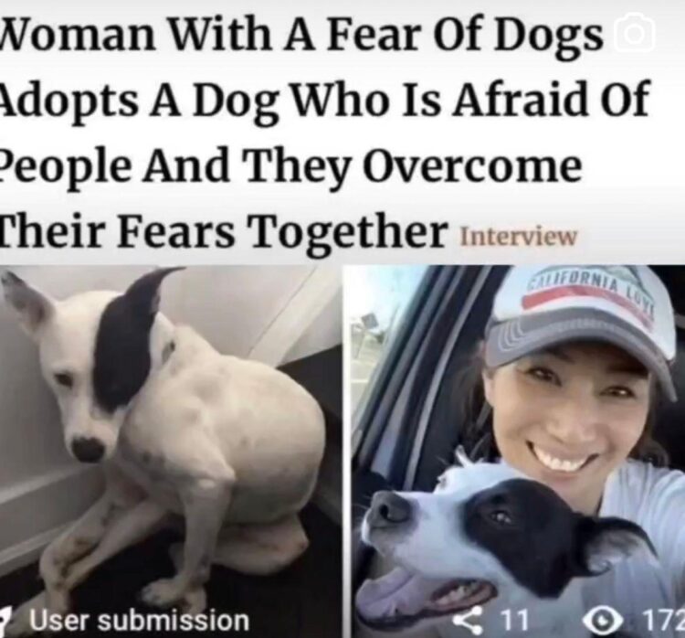 You with trust issues meeting someone who's also scared to trust—then you both decide to be brave together. "We can do this!" #wholesome.