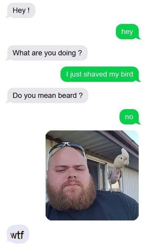You ask him if he's shaving his beard and he says, "No, my bird." Now you have trust issues. #beardproblems #wtf #lol.