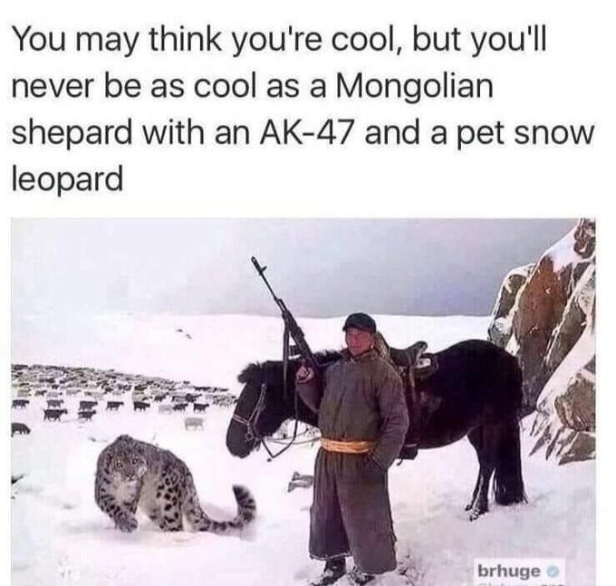 You may think you're cool, but you'll never be as cool as a Mongolian shepherd with an AK-47 and a pet snow leopard. #Iconic.