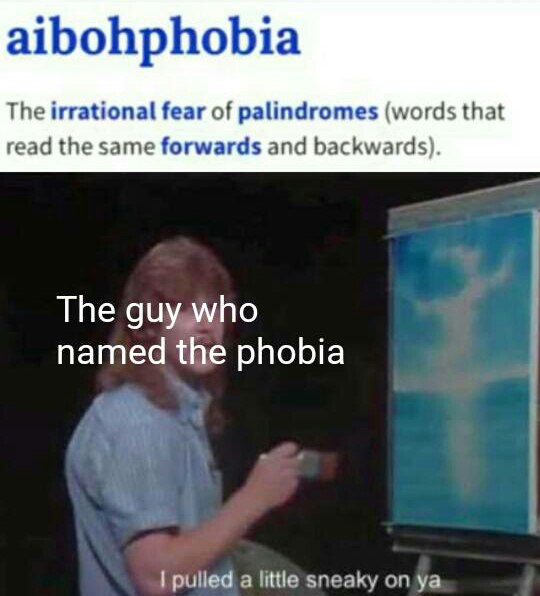 The definition of "aibohphobia" aka fear of palindromes, with a painter labeled "The guy who named the phobia" saying "I pulled a little sneaky on ya" #meme.