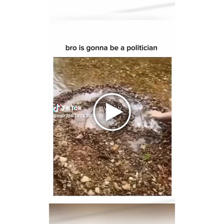 When you stir up drama and suddenly everyone’s paying attention. bro is gonna be a politician. #politics #funny #meme.