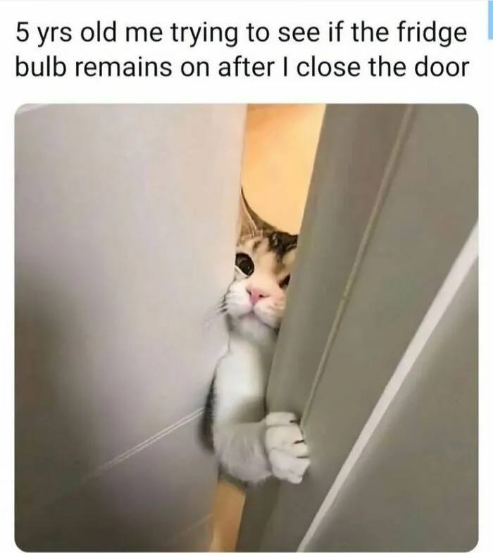 5 yrs old me trying to see if the fridge bulb remains on after I close the door." We all did this, right? 😂 #childhood #curiosity.