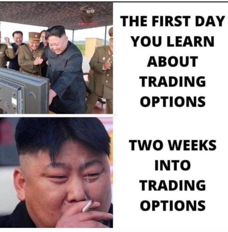 You on the first day you learn about trading options vs two weeks into trading options 😂💀 #trading #options #mood.