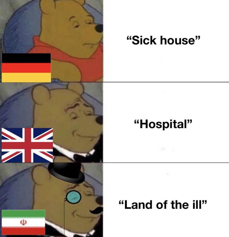 When you realize Germans call it "Sick house," English just says "Hospital," and Persians go for "Land of the Ill." #language #meme.