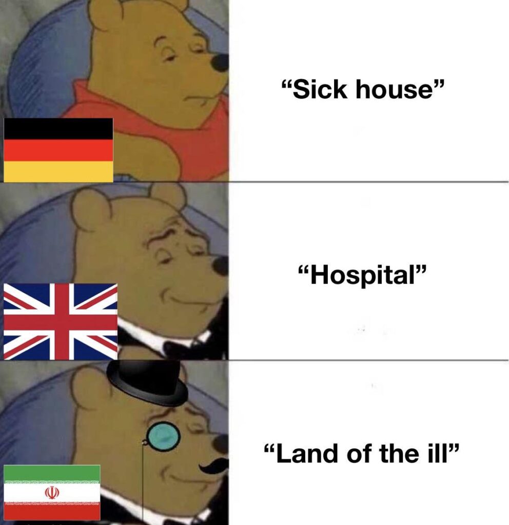 When you realize Germans call it "Sick house," English just says "Hospital," and Persians go for "Land of the Ill." #language #meme.