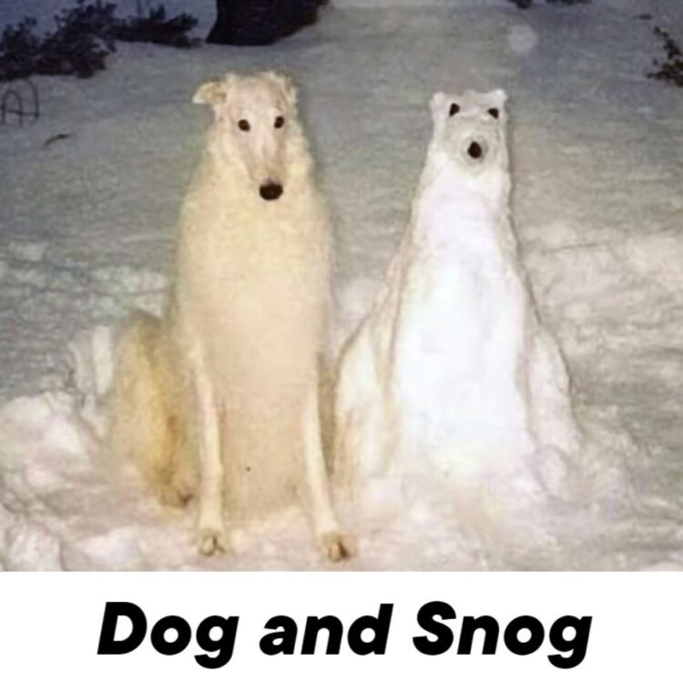 When you and your buddy are just chilling in the cold, but the vibe is still strong. Dog and Snog. #SquadGoals #Winter.