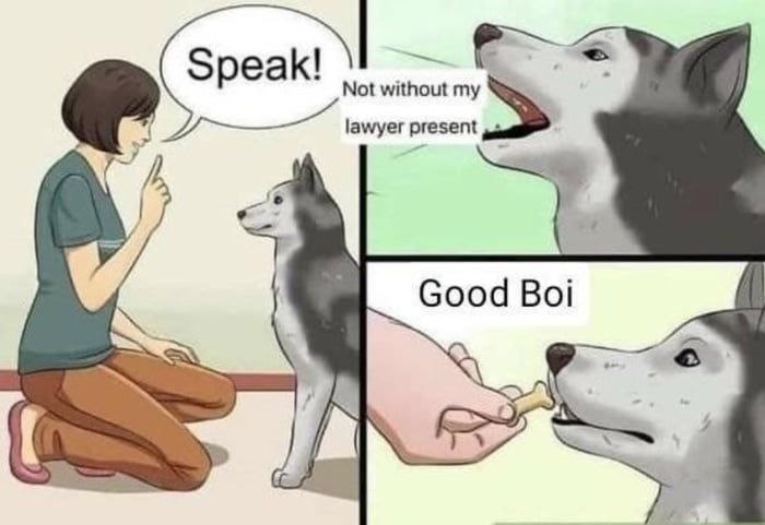 When you lawyer up before barking 🐶💼 “Speak!” Dog: “Not without my lawyer present.” “Good Boi.” #DogLife #Memes.