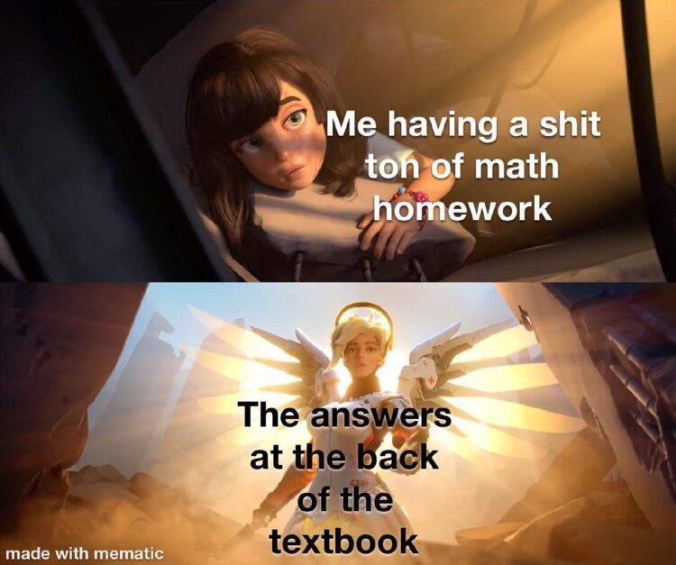When you have a shit ton of math homework, but the answers at the back of the textbook got your back! #mood #studentlife.