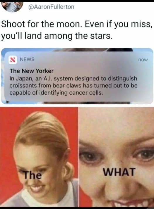 Aiming high: AI can ID bear claws & cancer cells. Me trying to keep up: THE WHAT. When tech leaves you behind 😂 #AI #meme.