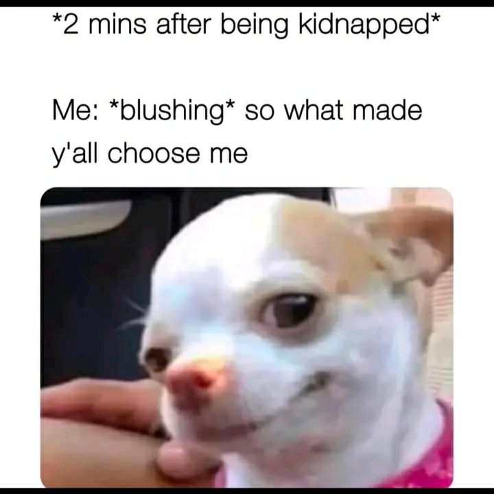 *2 mins after being kidnapped* Me: *blushing* so what made y'all choose me 😂 Kidnappers, explain yourselves! #kidnapped #meme.