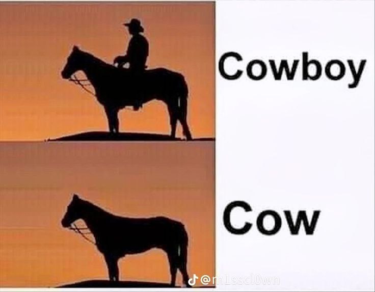 When you lose your rider but still got that horse energy. Top: "Cowboy", Bottom: "Cow." #mood #lol.