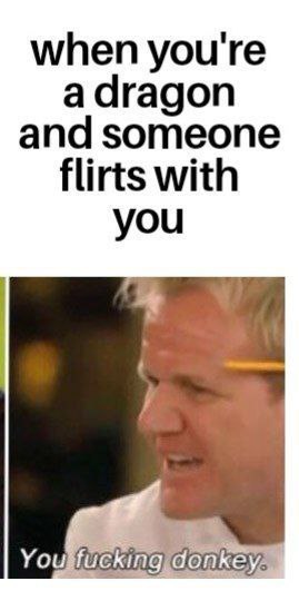 When you're a dragon and someone flirts with you. "You fucking donkey." #mood #dragonproblems.