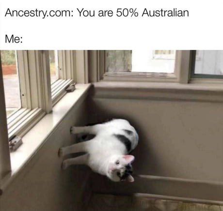 Ancestry.com: You are 50% Australian. Me: #gravity #downunder #catlogic.