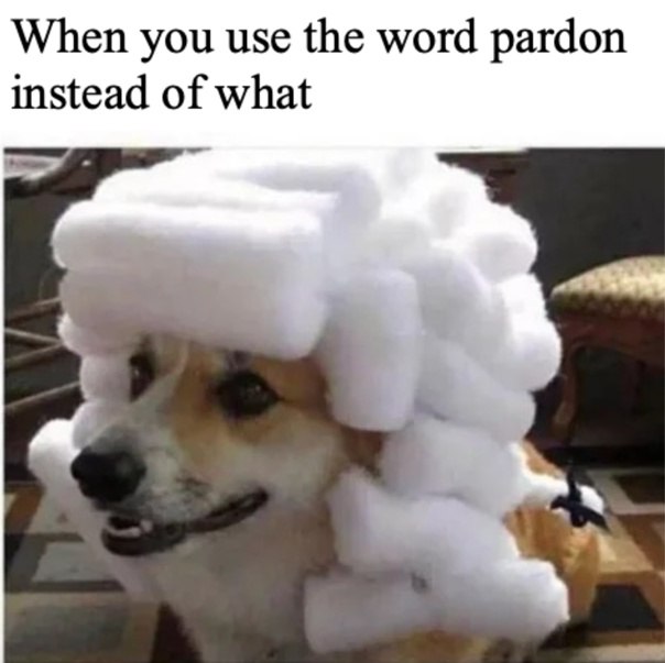 When you use the word pardon instead of what. Instant class upgrade! #fancy #meme #LOL.