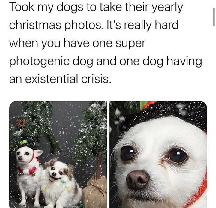 When you and your bestie try to get into the holiday spirit but only one of you is actually feeling it 😂 #Christmas #Mood.