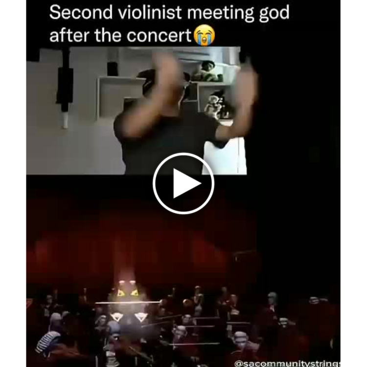 Second violinist meeting god after the concert" 😂 If you know, you know. #orchestra #musicianlife.