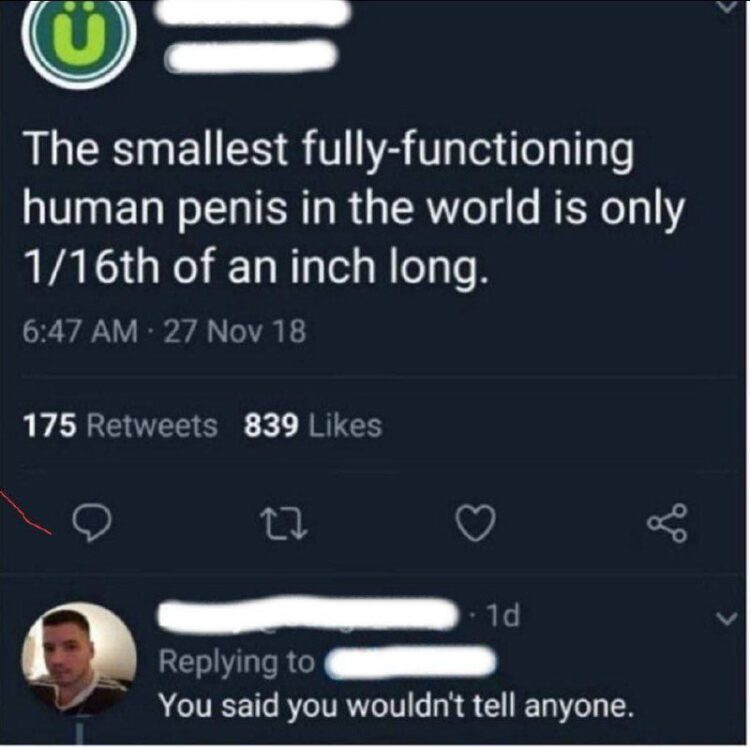 You learn the smallest fully-functioning human penis is 1/16th inch. Then someone’s like: “You said you wouldn’t tell anyone.” #awkward.